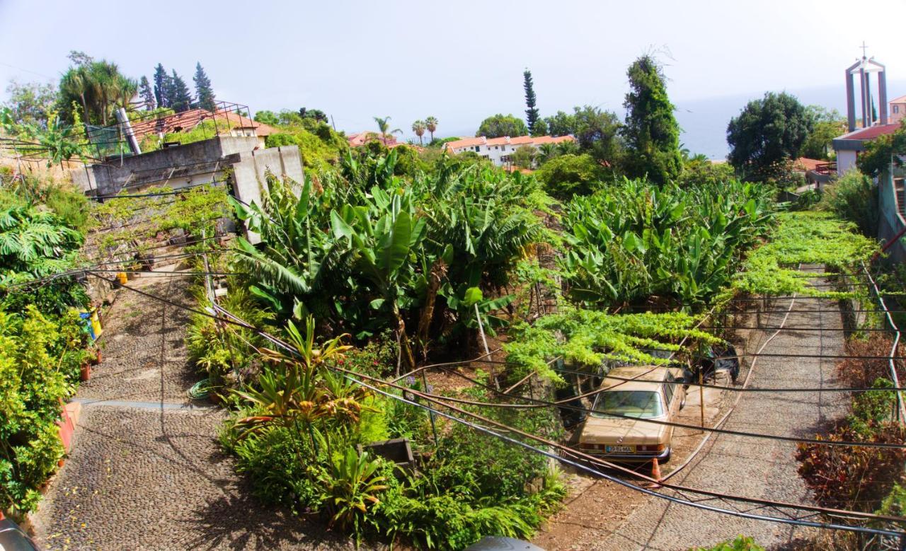 Villa Catanho 丰沙尔 外观 照片