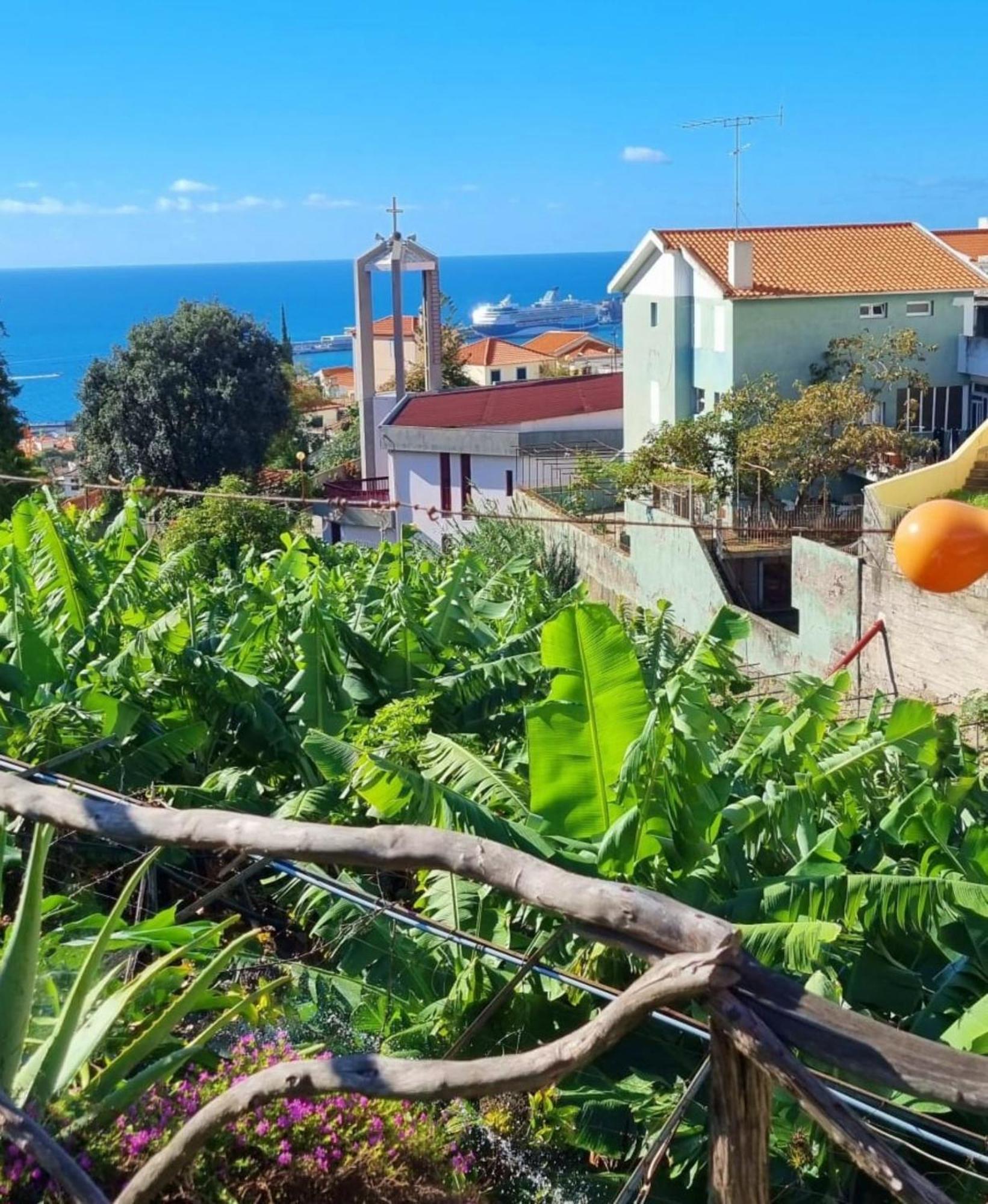 Villa Catanho 丰沙尔 外观 照片