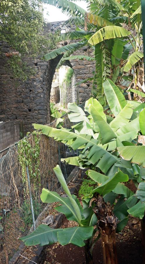 Villa Catanho 丰沙尔 外观 照片