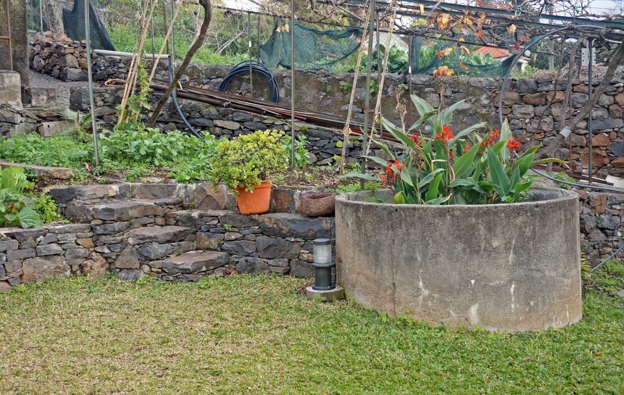 Villa Catanho 丰沙尔 外观 照片